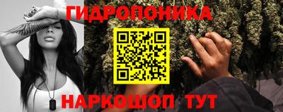 ПСИЛОЦИБИНОВЫЕ ГРИБЫ Лесосибирск
