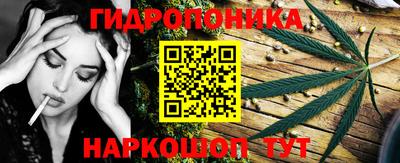 ПСИЛОЦИБИНОВЫЕ ГРИБЫ Лесосибирск