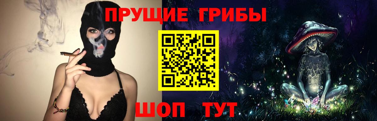 Урус-Мартан  Псилоцибиновые грибы ЛСД  Вход с VPN  Галлюциногенные грибы Psilocybine cubensis 